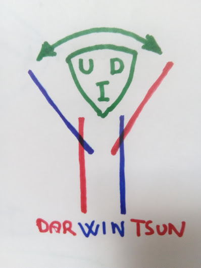Darwintsun.com - Wing Tsun Center - København