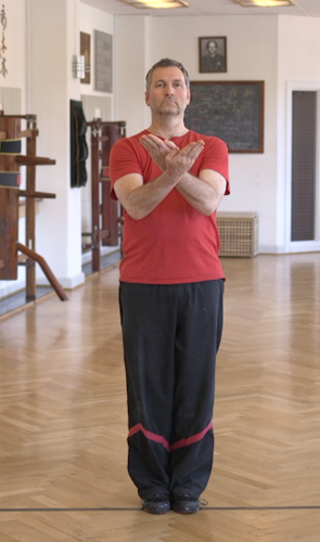 Wing Tsun - Siu Nim Tau