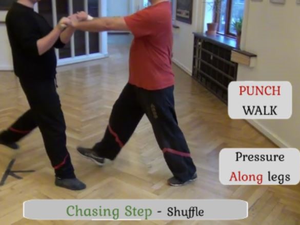 Chasing Steps - Wing Tsun